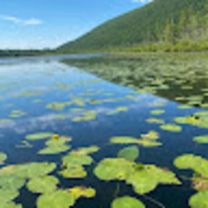 Meet your Posher, Tarik